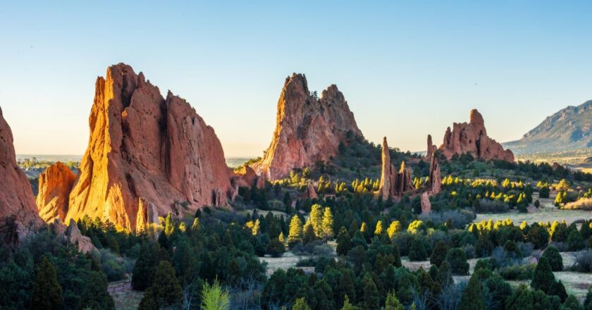 REcolorado board fired as shareholders reveal new buyer